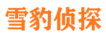 环江私家调查公司